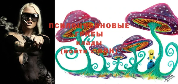 apvp Арсеньев
