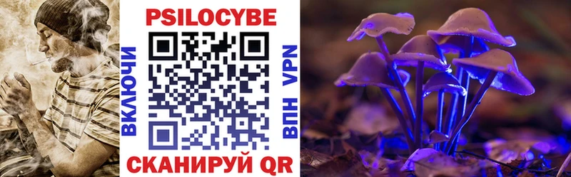 Галлюциногенные грибы Cubensis  omg ONION  Балашов 